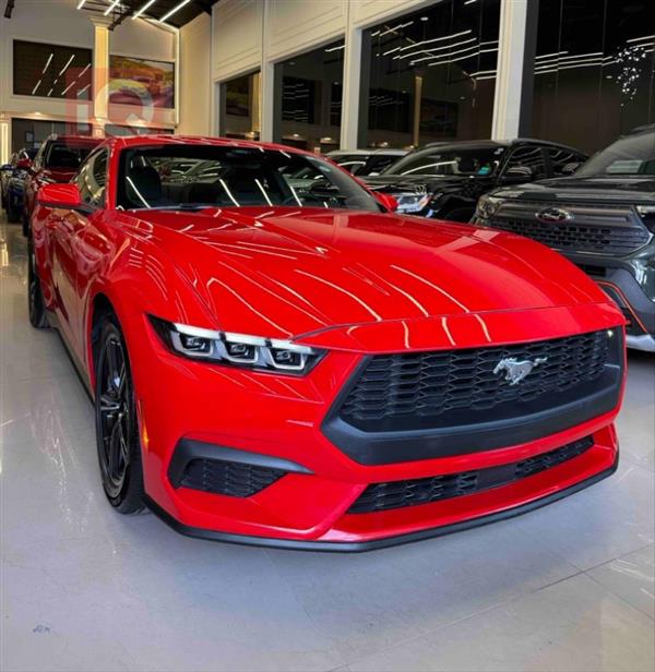 Ford for sale in Iraq